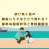 夜に咲く花の韓国ドラマはどこで見れる？最新の配信状況と無料視聴法