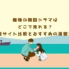 魔物の韓国ドラマはどこで見れる？配信サイト比較とおすすめの視聴方法