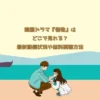 韓国ドラマ『怪物』はどこで見れる？最新配信状況や無料視聴方法