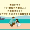 韓国ドラマ『21世紀の大君夫人』の配信はどこ？アマプラやU-NEXTでの視聴可否を解説