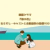 韓国ドラマ『悪の花』あらすじ・キャストと全話無料の配信VOD