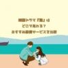 韓国ドラマ『麗』はどこで見れる？おすすめ配信サービスを比較