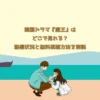 韓国ドラマ『魔王』はどこで見れる？配信状況と無料視聴方法を解説