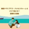 韓国ドラマ『ラブ・パッセンジャー』はどこで見れる？配信先を解説